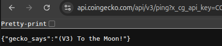 Successful ping endpoint using API key
