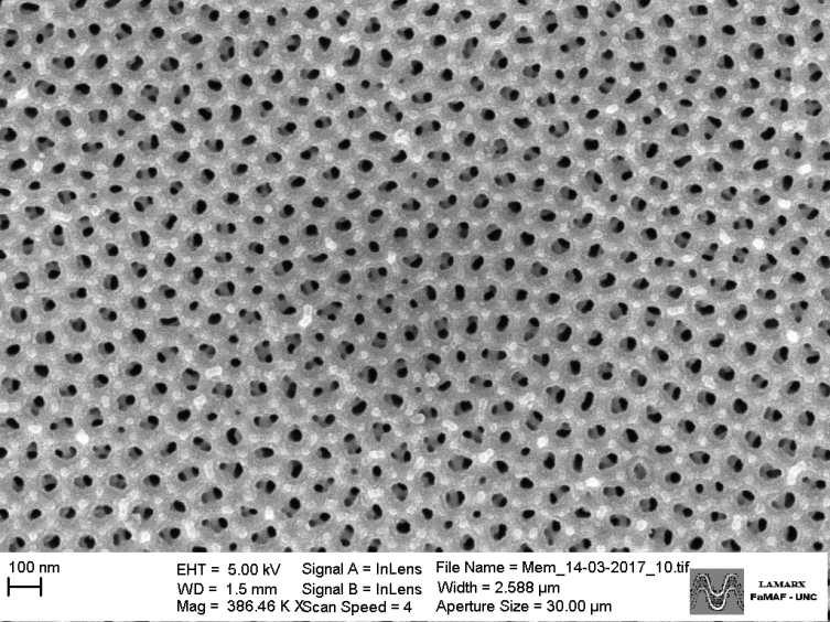 FAMAF alumina template