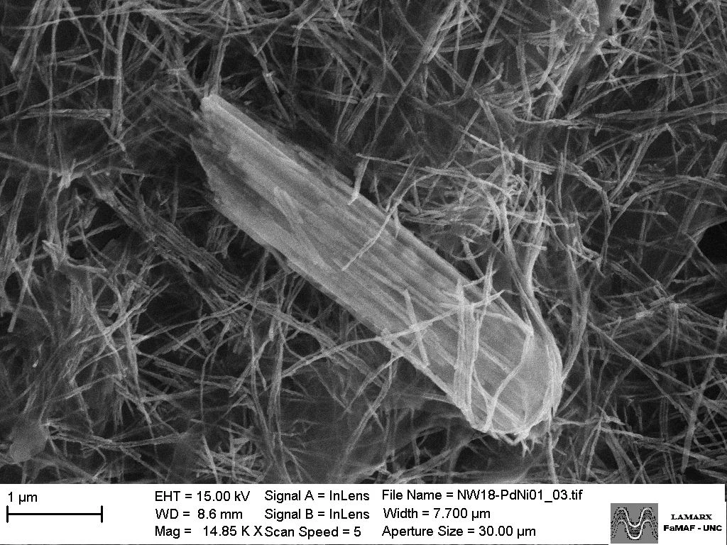 FAMAF nanowires