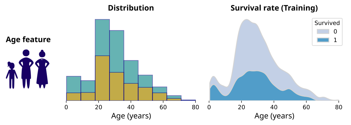 Distribution rates for Age feature